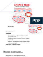3. ЕПИТЕЛНА ТЪКАН