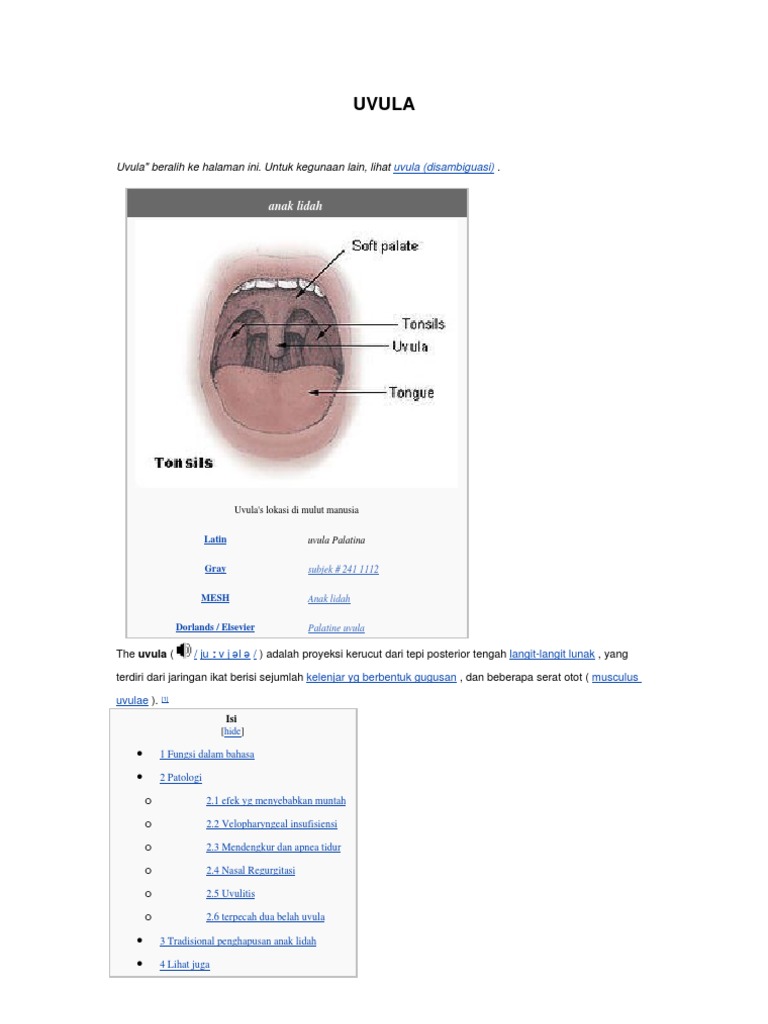 Uvula | PDF