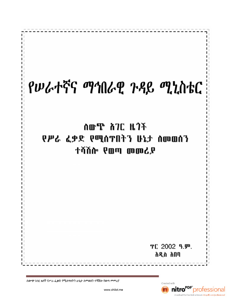 Expatriate - S Work Permit Directive Amharic | PDF