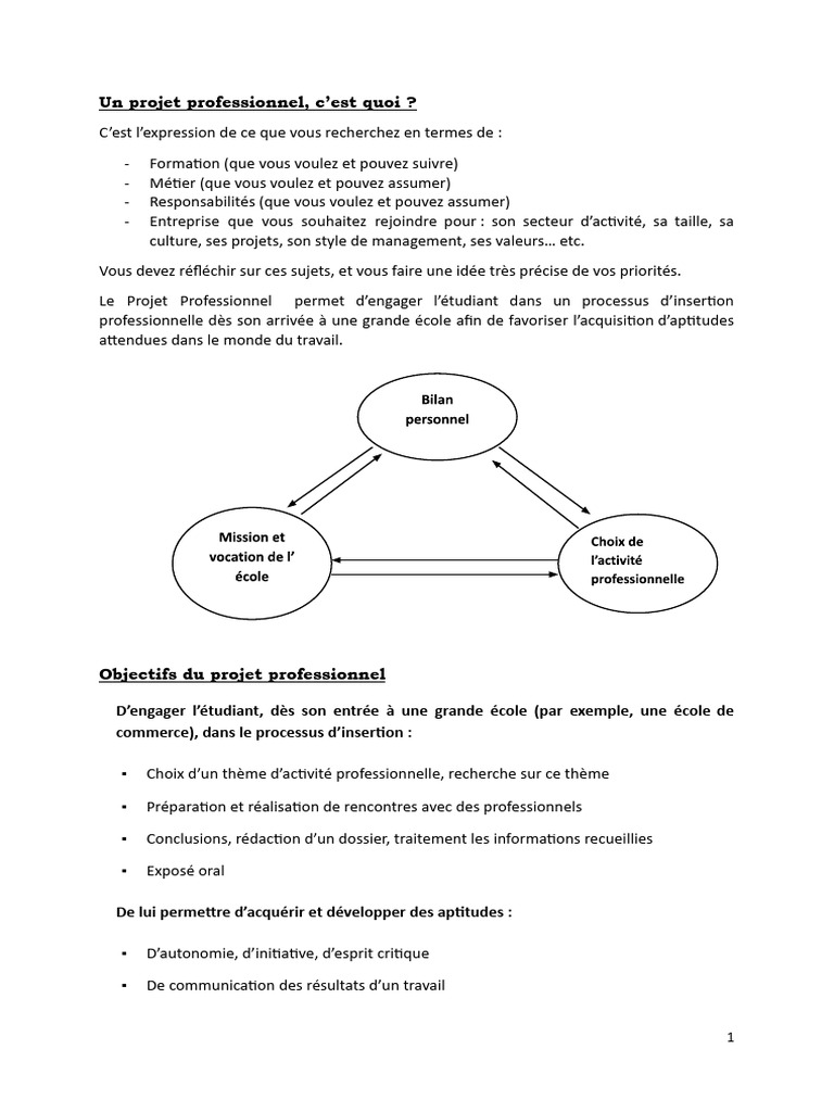 Projet-Professionnel - Docx - Google Docs | PDF | Audit financier ...