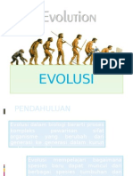 Evolusi