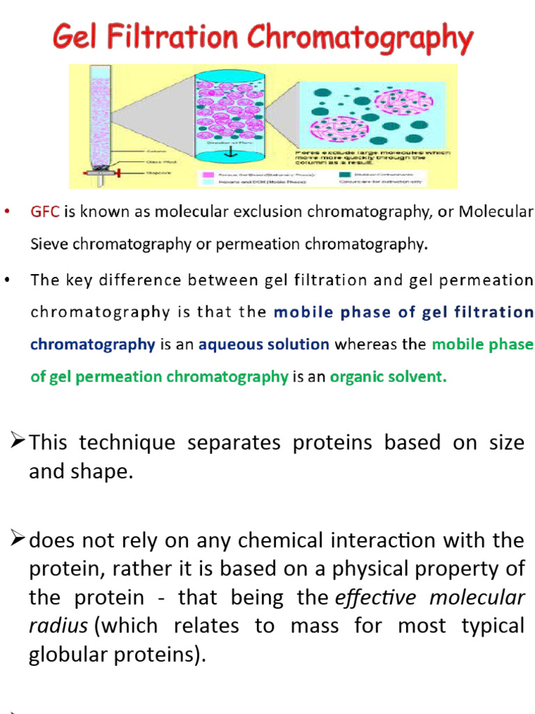 Gel Filtration Chromatography Overview | PDF | Chromatography | Biology