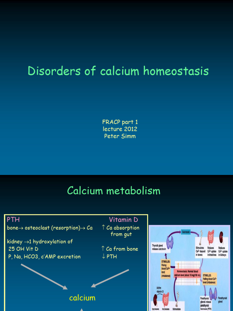 Calcium Homeostasis Disorders Overview | PDF | Vitamin D | Medical ...