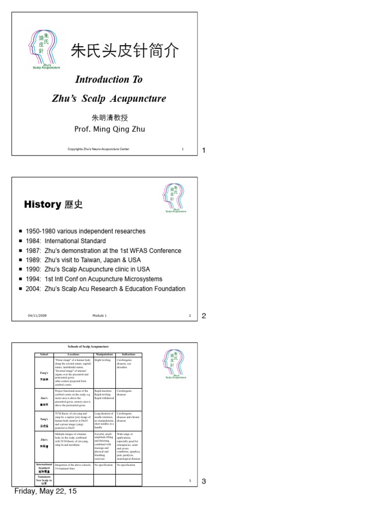 ZhuM PS2015 SundayPM Handout | PDF | Traditional Chinese Medicine ...