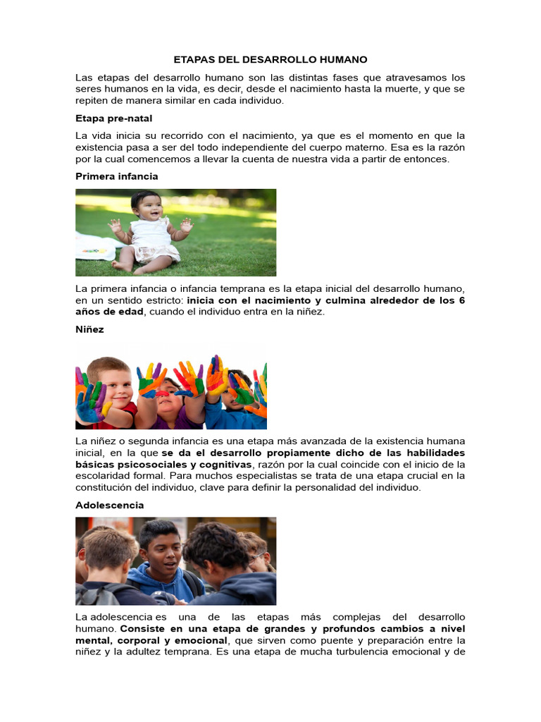 Etapas del Desarrollo Humano | PDF | Adultos | Sistema circulatorio