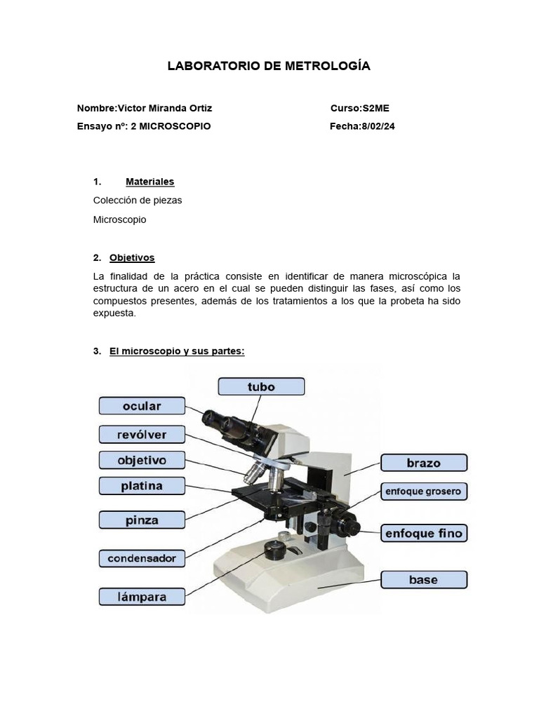 Ensayo Microscópico | PDF | Microscopio | Óptica