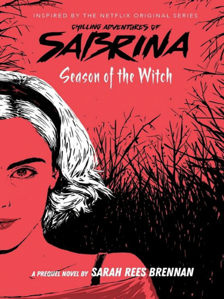 Exploring Salem: The Iconic Cat from Sabrina | TikTok, image size:768x1024