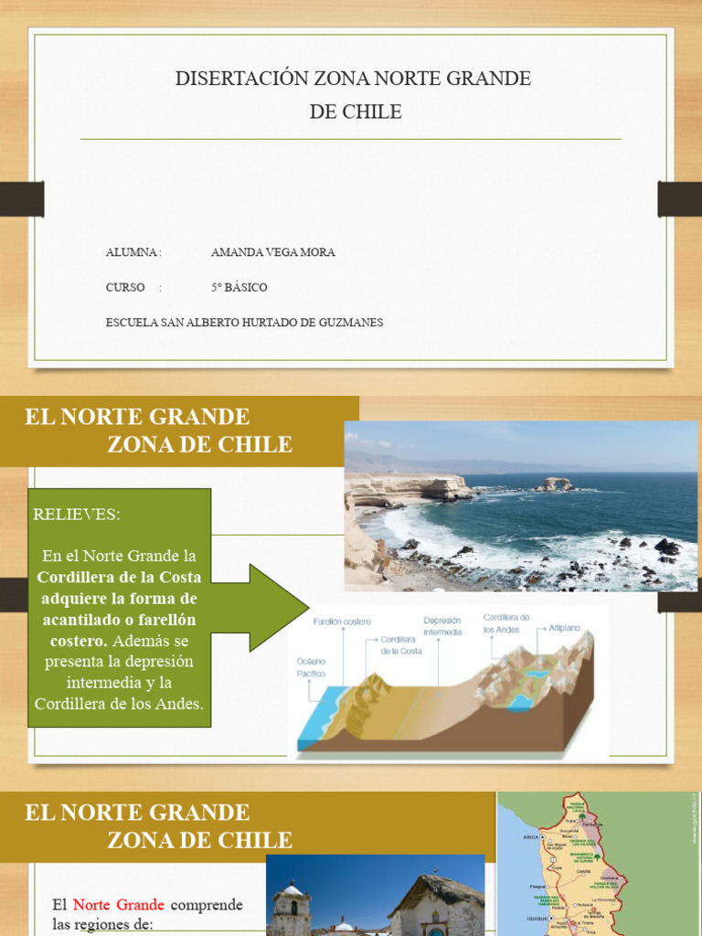 Relieves y Economía del Norte Grande de Chile | PDF