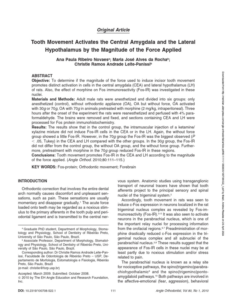 Tooth Movement Activates The Central Amygdala and The Lateral | PDF | Pain