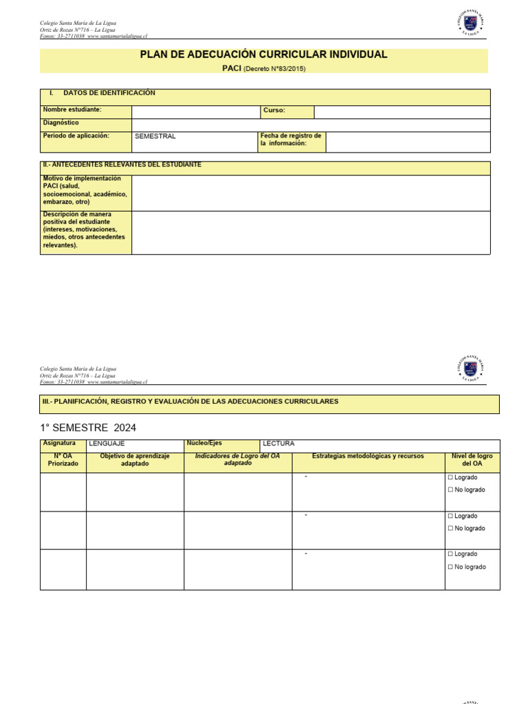 FORMATO PACI 2024 PDF Evaluación Educación especial