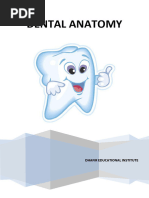 Dental Anatomy and Types of Teeth | PDF | Dental Anatomy | Tooth