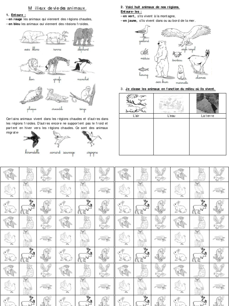 CP QUESTIONNER LE MONDE SCIENCES Les Milieux de Vie Des Animaux | PDF