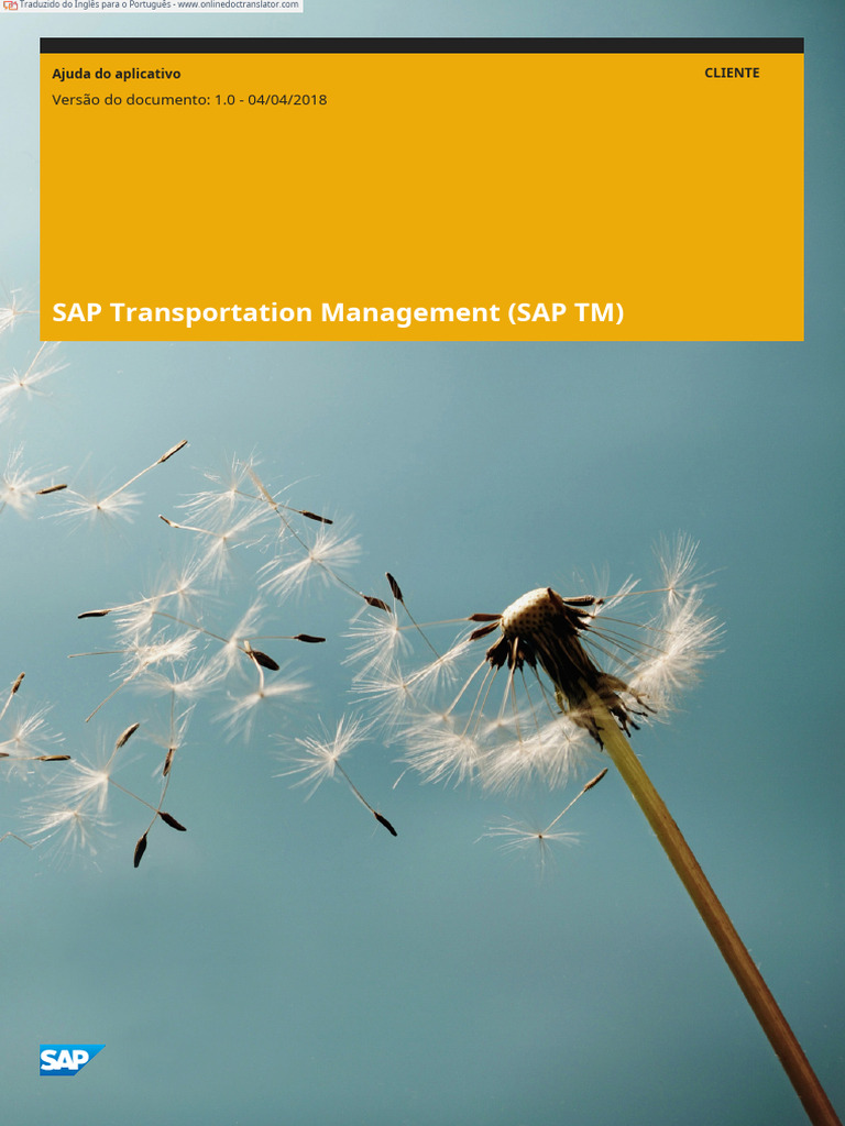 Guia do SAP Transportation Management | PDF | Transporte