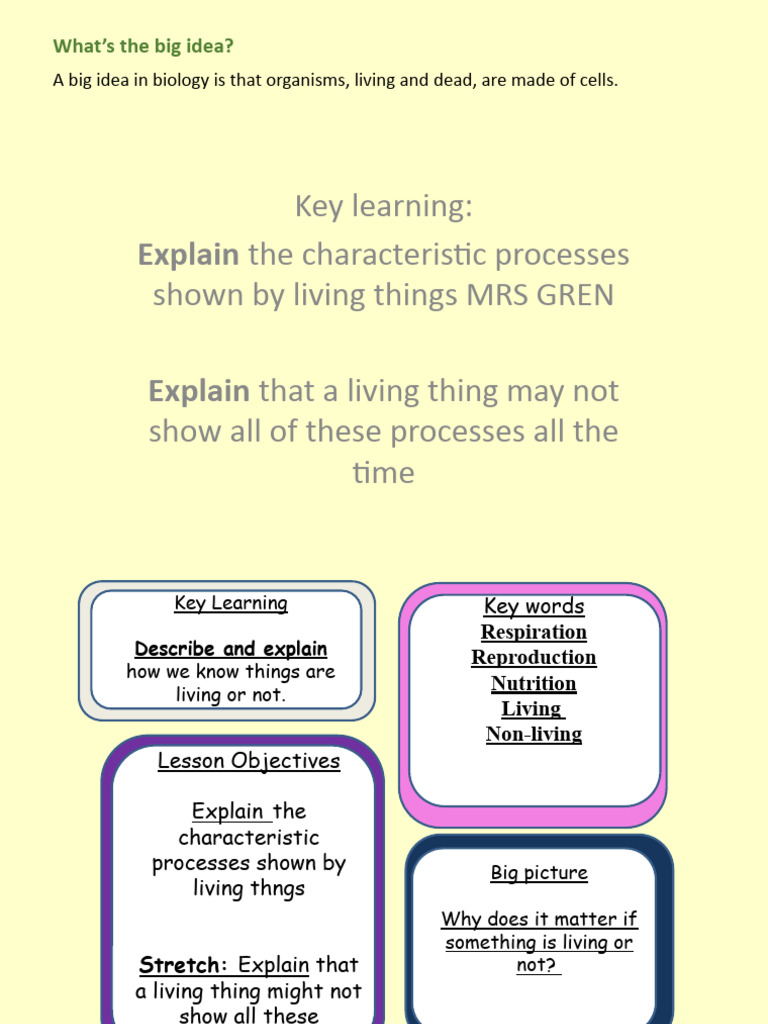 MRS-GREN Lesson Presentation | PDF | Nutrition | Diet & Nutrition