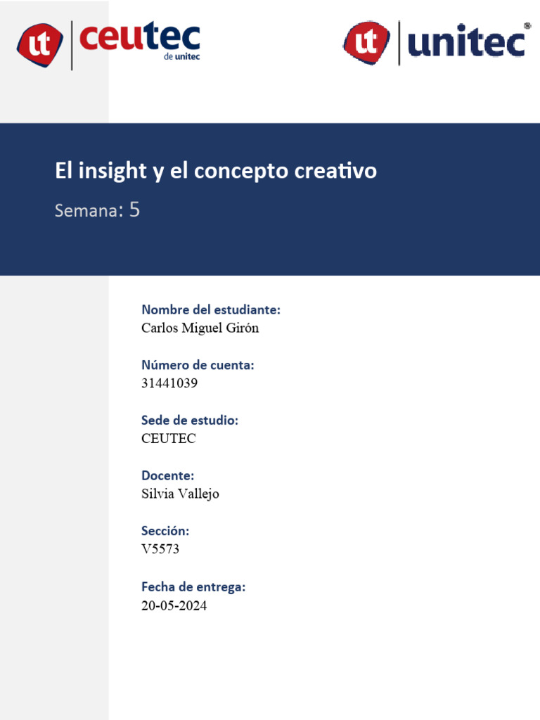El Insight y El Concepto Creativo | PDF | Publicidad | Marca