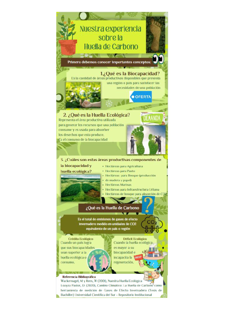 Infografia Huella de Carbono Grupo 10 | PDF