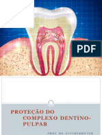 proteodocomplexodentino-pulpar2012-1-120128082149-phpapp01