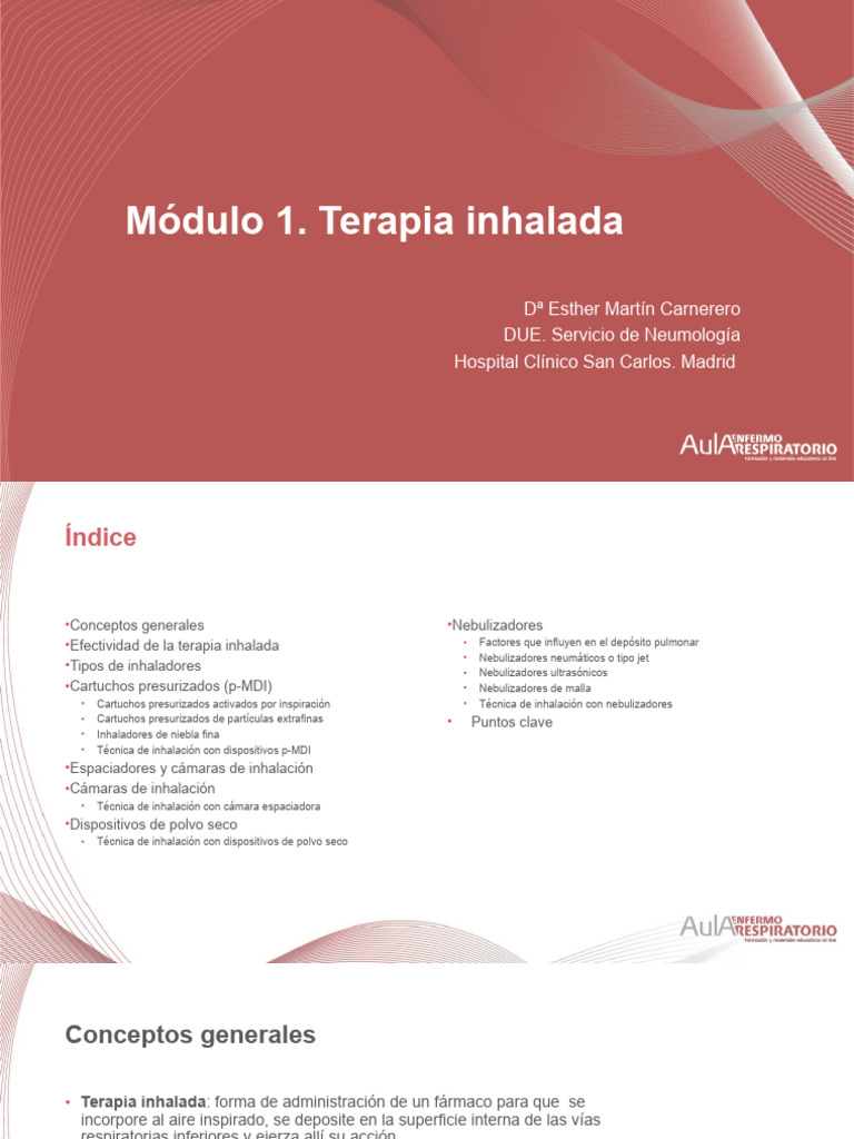 Terapia Inhalada | PDF | Medicamentos con receta | Ultrasonido