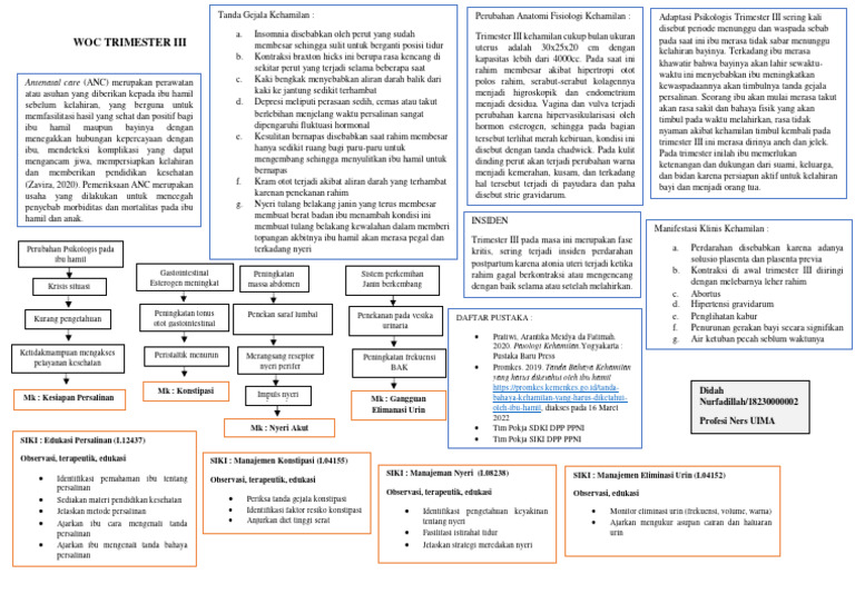 Woc TM 3 | PDF