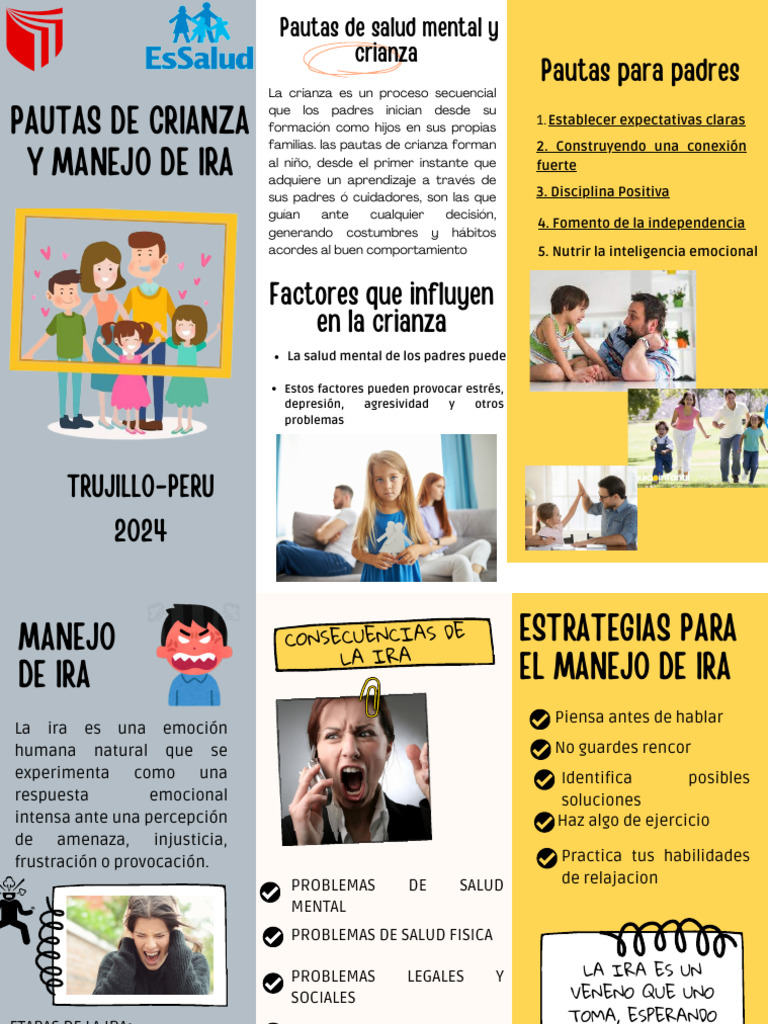 Pautas para Crianza y Manejo de Ira | PDF | Ira | Las emociones