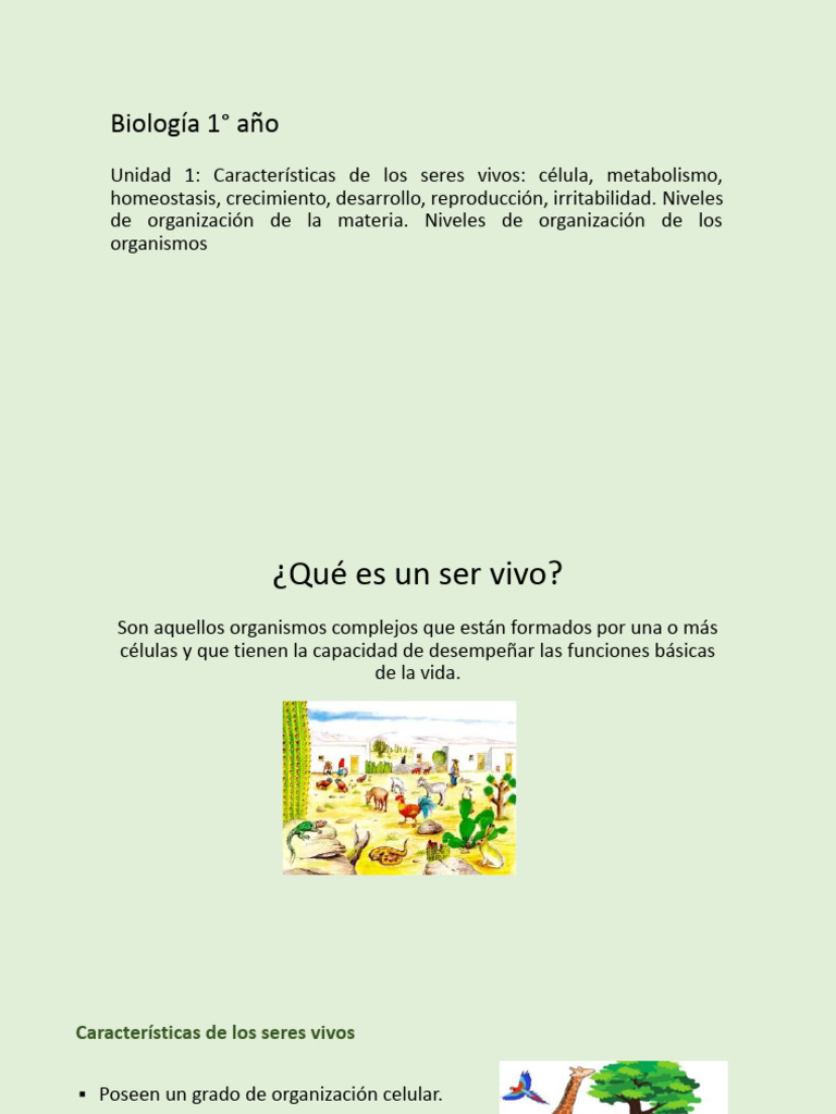 caracter-sticas-de-los-seres-vivos-pdf-metabolismo-organismos