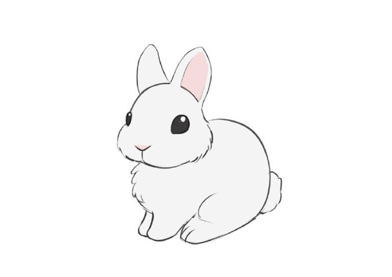 Rabbit Alma | PDF