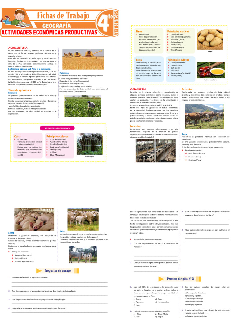 Actividades Economicas Productivas para Cuarto Grado de Secundaria ...