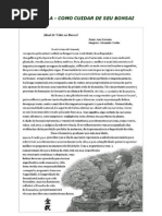 23178095 Apostila Como Cuidar de Seu Bonsai Celso Castro