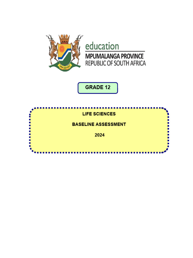 Archer Baseline Assessment