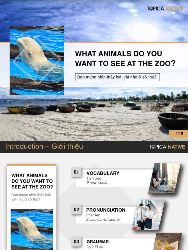 Super Basic What Animals Do You Want To See at The Zoo | PDF