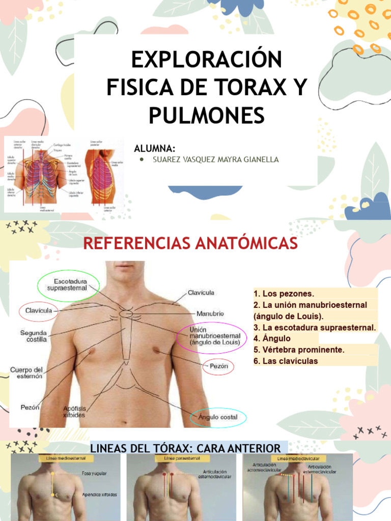 Exploración Física de Torax. Cristina | PDF | Anatomía | Medicina CLINICA