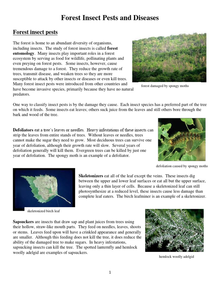 Identification Pages For Invasive Pests Diseases Species List | PDF ...
