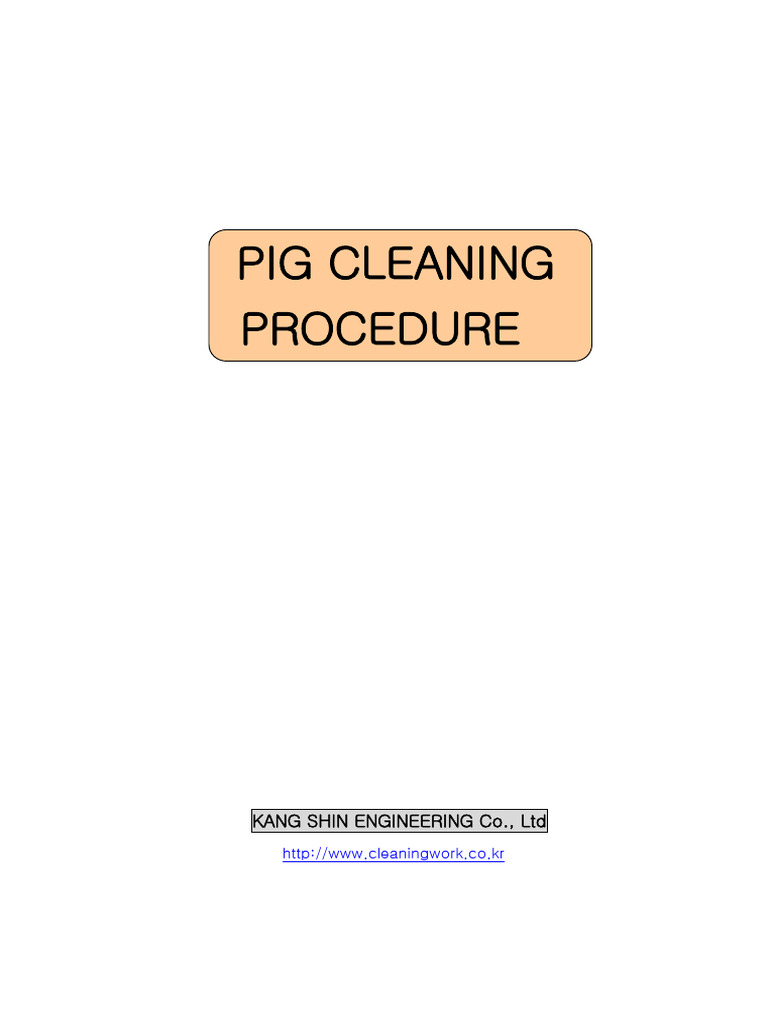 Technical Pig Cleaning Procedure | PDF | Pipe (Fluid Conveyance) | Welding