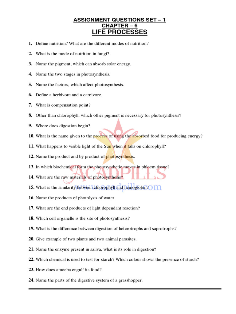Life Processes Assignment Questions | PDF | Digestion | Stomach