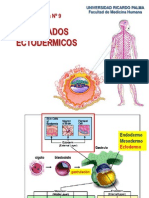 Labo9 Ectodermo