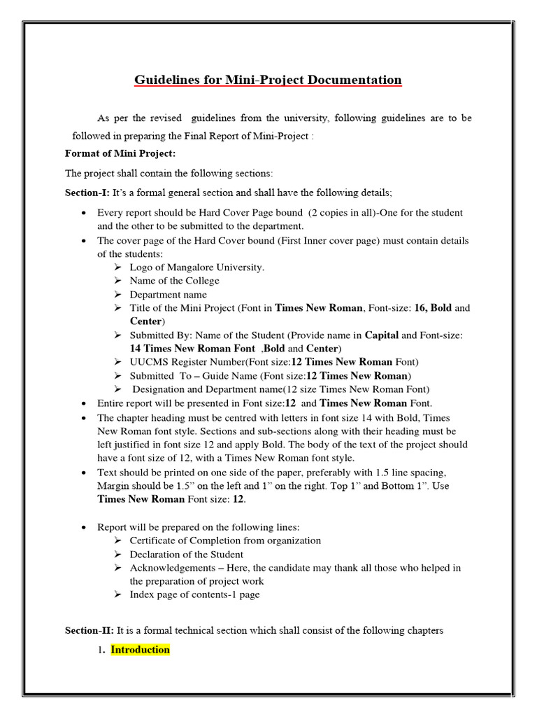 Mini-Project Documentation Guidelines | PDF | Times New Roman | Written ...