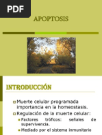 Clase 5  Apoptosis