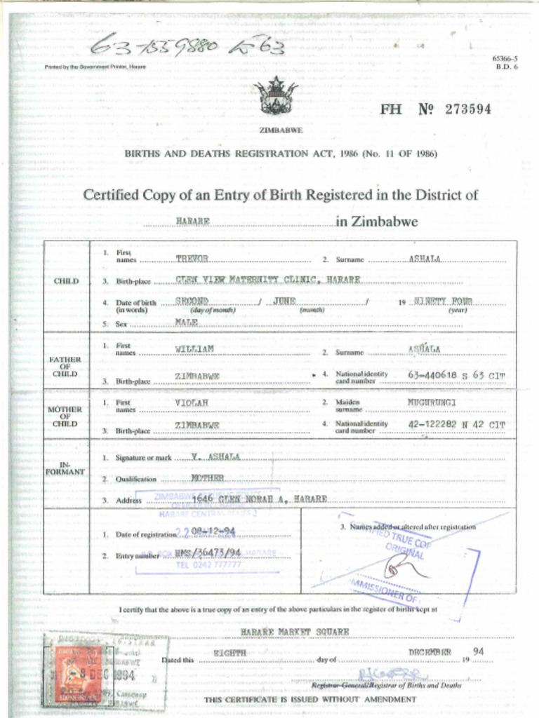 HOW TO MAKE BIRTH CERTIFICATE PDF visual data 6