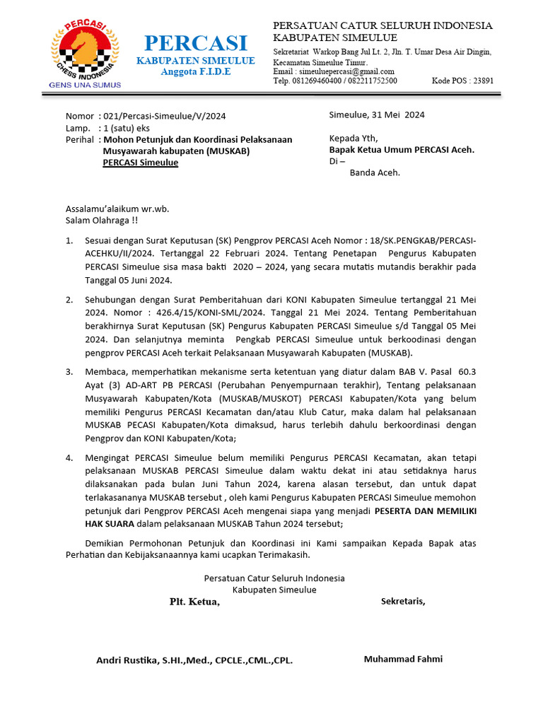 Soch kesish surati bilan mushuk