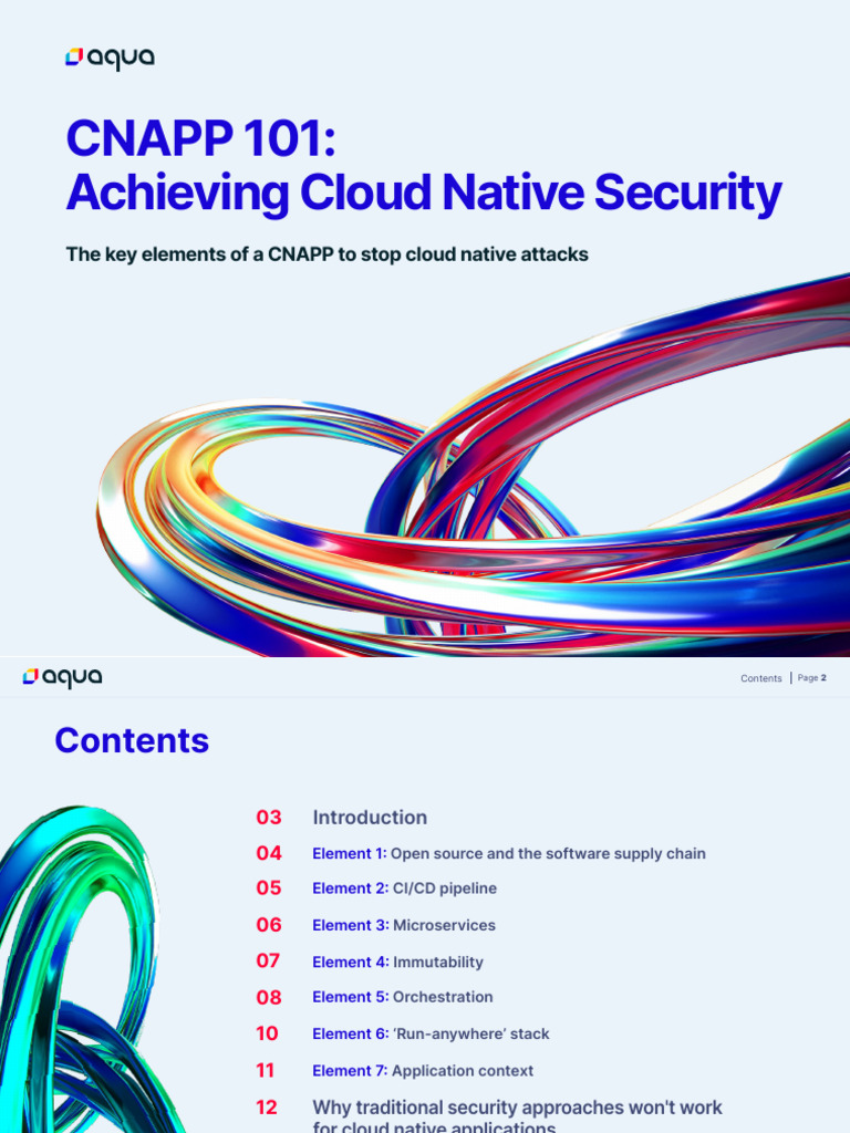 AquaSecurity - Cloud Native Application Protection Platform CNAPP | PDF ...