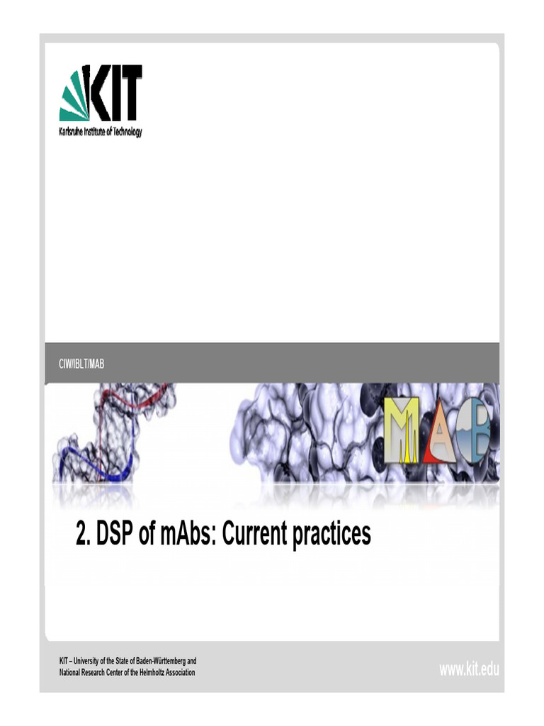 02 - Current Practice MAb Platform | PDF | Monoclonal Antibody ...