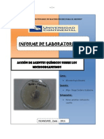 11 - Informe-9 Microb AGENTES-QUIMICOS