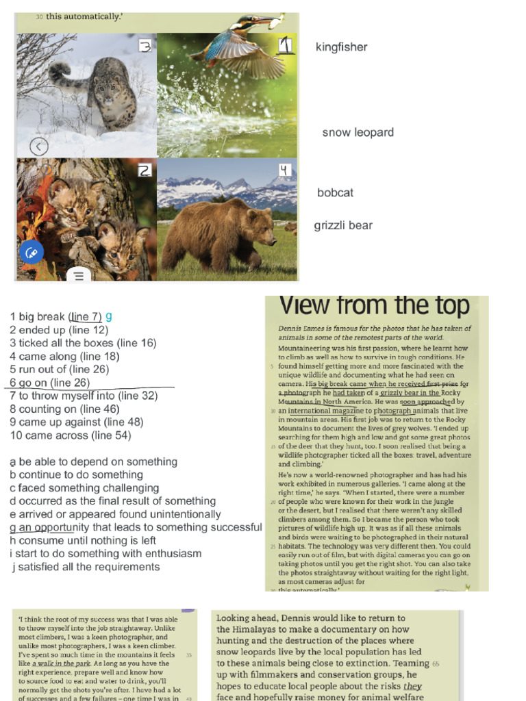 Phrasal Verbs 3pdf Pdf