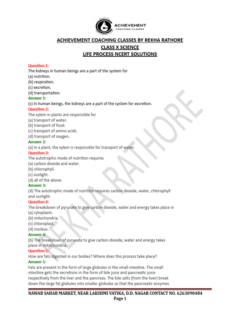 class-10-science-life-process-notes-pdf-nutrition-diet-nutrition