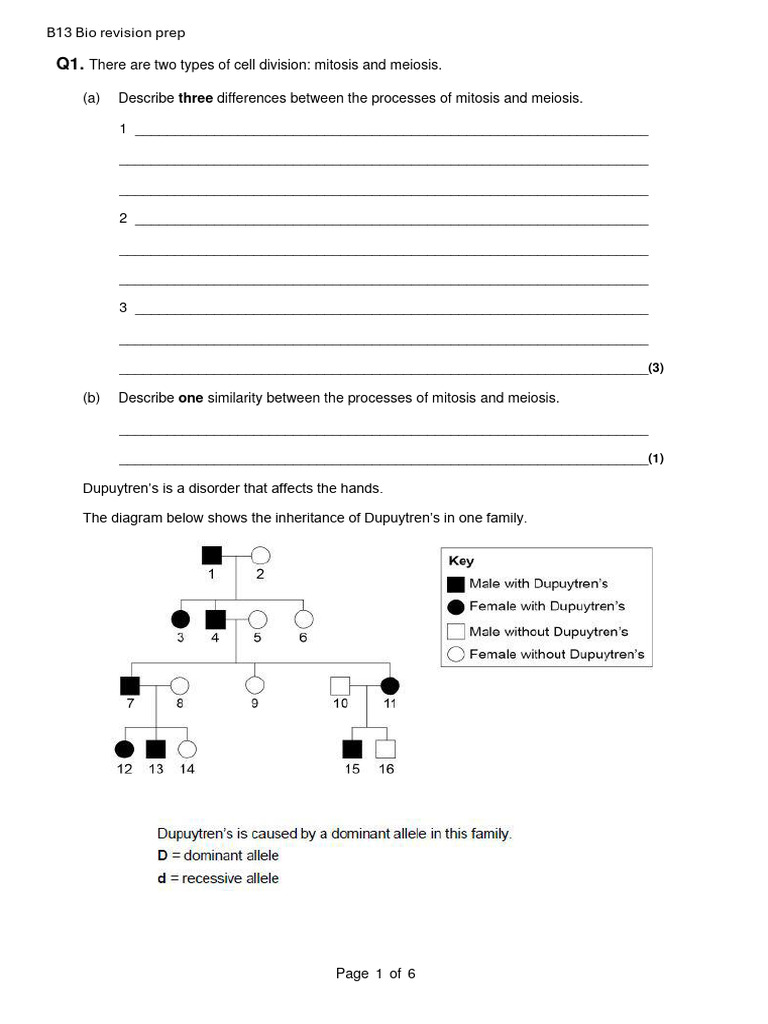 B13 Biology Revision Guide: Mitosis & Genetics | PDF | Meiosis | Genetics