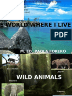 The World Where i Live In