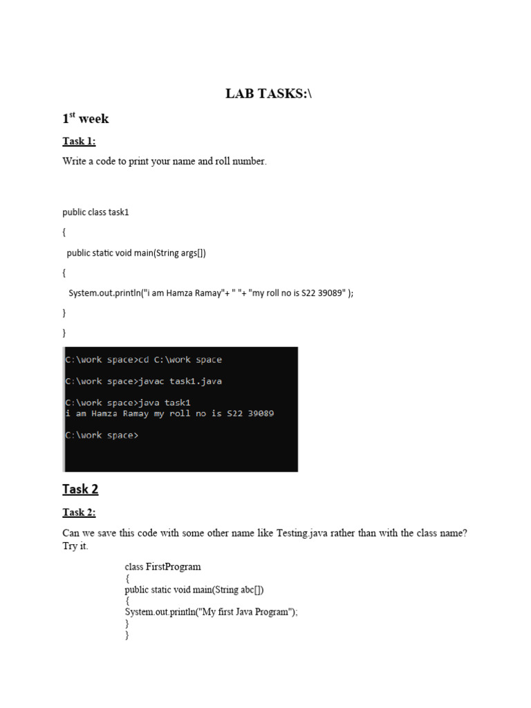 LAB TASKS | PDF