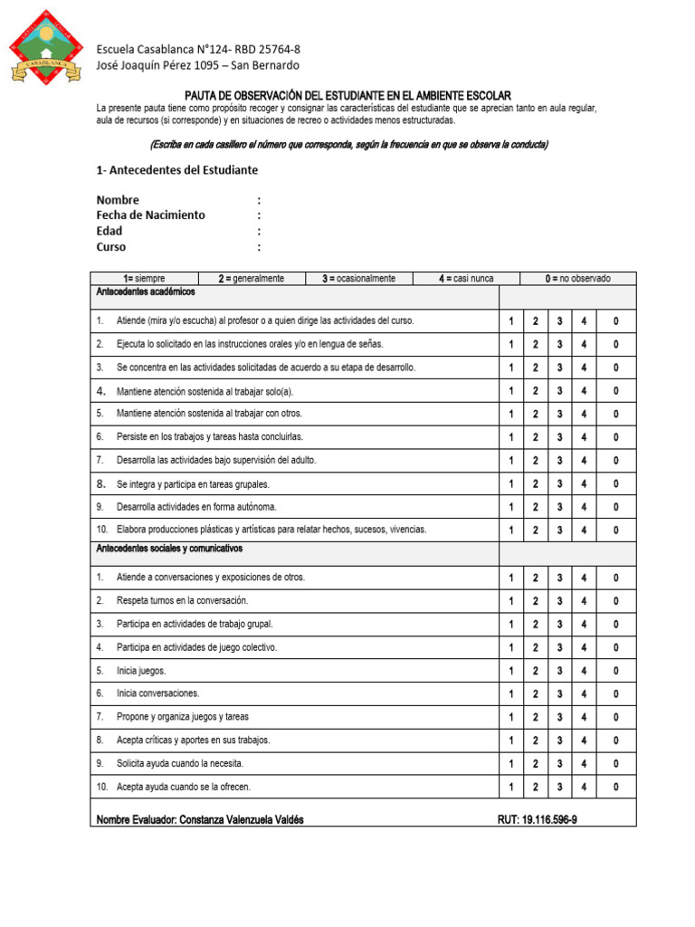Pauta de Observación y Plan de Apoyo PAI | PDF | Maestros | Plan de ...