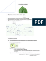 Biologie clasa a X-a sem I