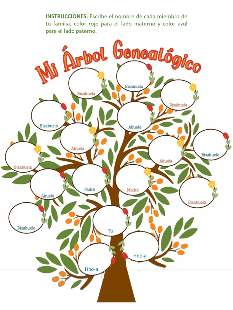 Arbol Genealogico | PDF